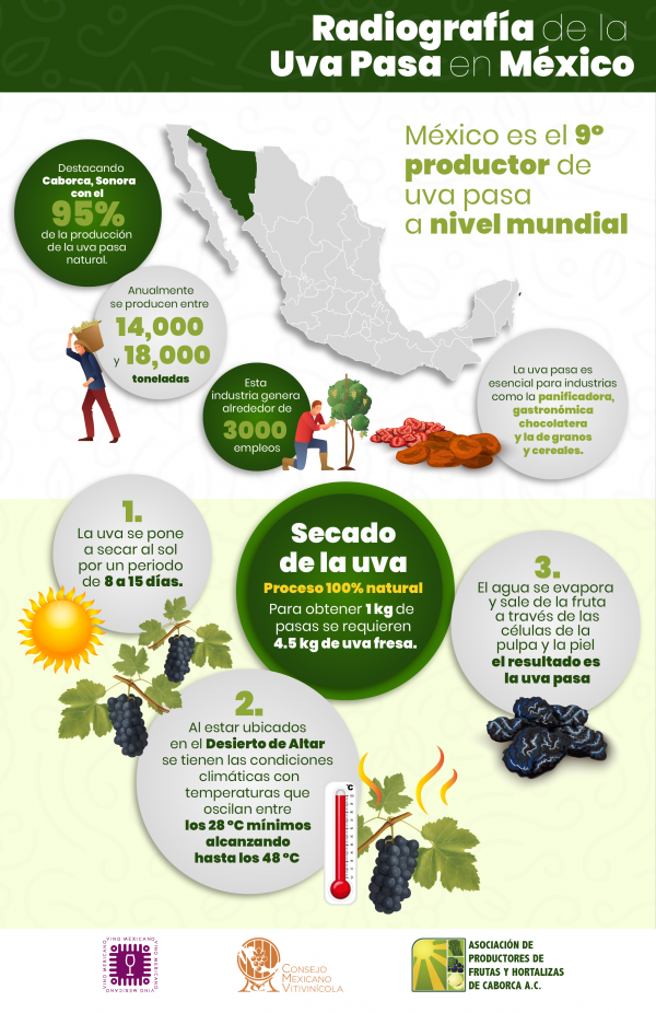 INFOGRAFIA UVA PASAok-01-01 | Consejo Mexicano Vitivinícola