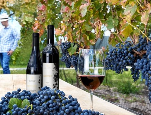 Es el momento del vino mexicano: Paz Austin