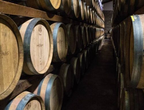 México será sede del Congreso Mundial de la Viña y el Vino